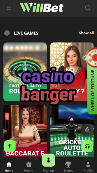Casino Banger - High-Energy Casino Games-www.bdqngd.com